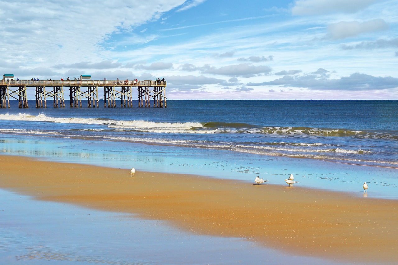 flagler beach, beach, florida